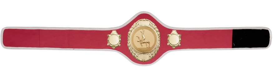 WRESTLING BELT-PRO286/G/WRESTG-10+ COLOURS